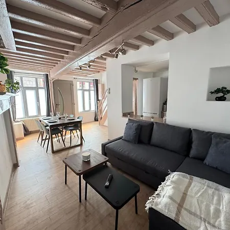 Maison 2ch - Netflix - Flechettes - Hyper Centre Apartment