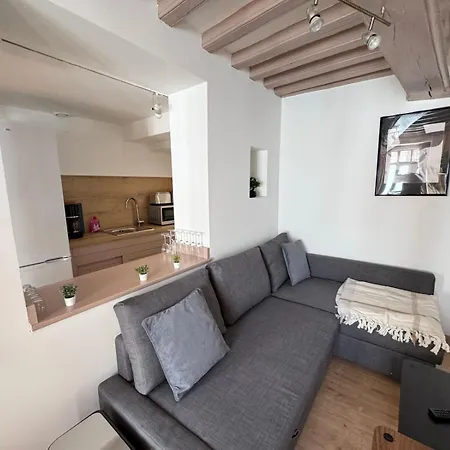 Maison 2ch - Netflix - Flechettes - Hyper Centre Apartment *