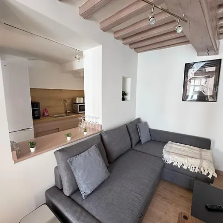 Maison 2ch - Netflix - Flechettes - Hyper Centre Apartament *