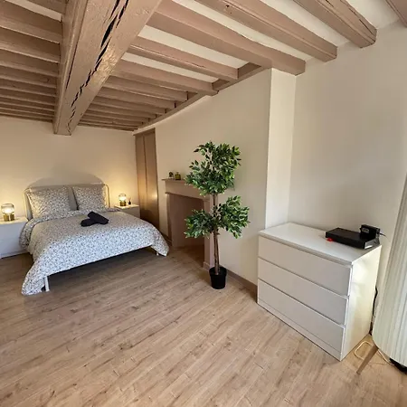 Apartment Maison 2ch - Netflix - Flechettes - Hyper Centre *