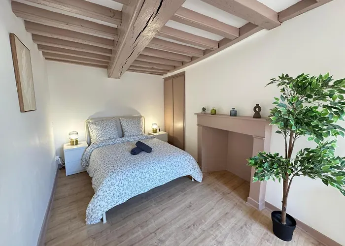 Maison 2ch - Netflix - Fléchettes - Hyper Centre Appartement *