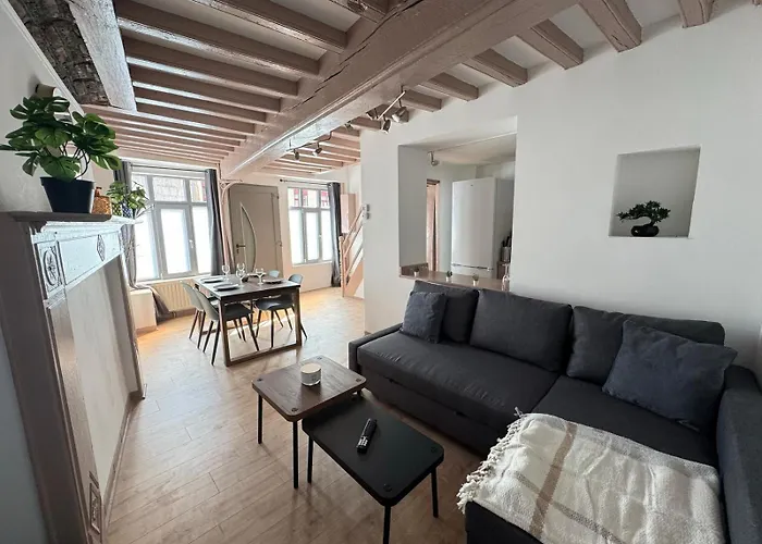 Maison 2ch - Netflix - Fléchettes - Hyper Centre Appartement